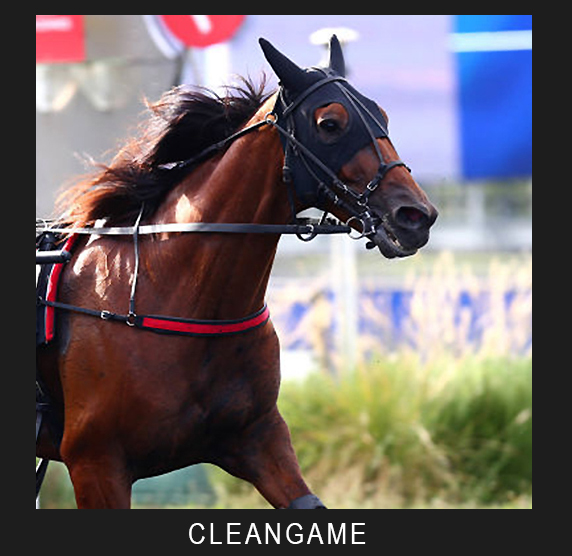 Cleangame cheval