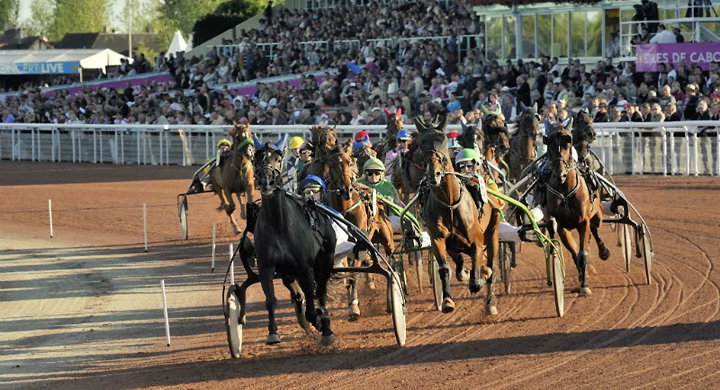 Quinté trot attelé