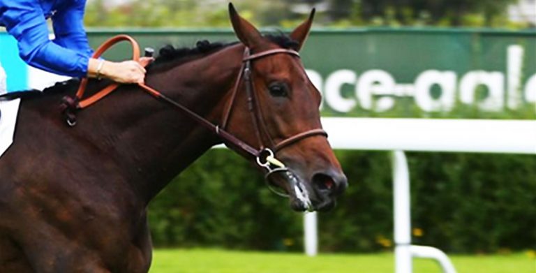 cheval de course