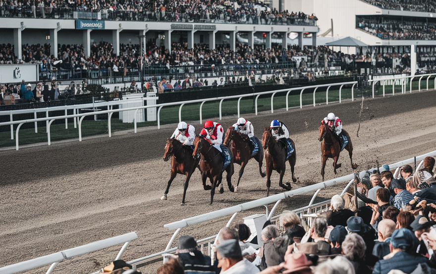 hippodrome Chantilly course de plat