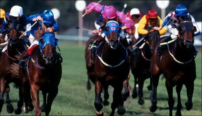 Quinté hippodrome Saint-Cloud