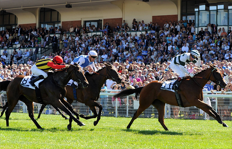 hippodrome de Deauville - course de plat