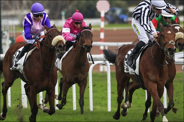 Quinté hippodrome Cagnes-sur-Mer