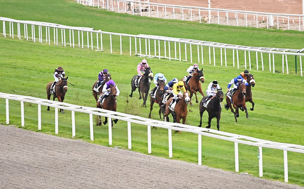 hippodrome Cagnes-sur-Mer course de plat