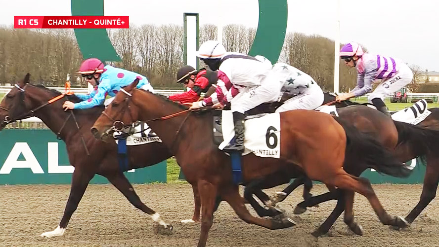 arrivée du Quinté du 18 novembre à Chantilly - Prix de Beauvais