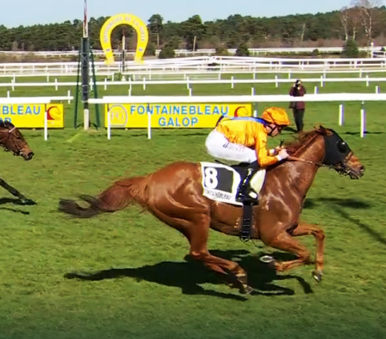 arrivée Quinté 17 mars 2026 Fontainebleau