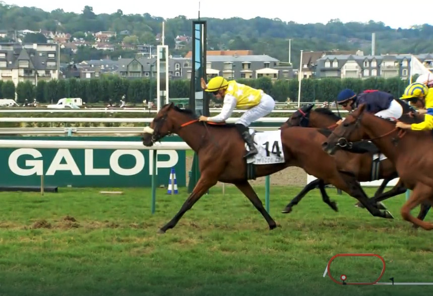 Quinté à Deauville : analyse et pronostics